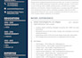 provide backlinks for local businesses and SEO services